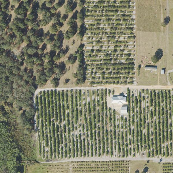 Aerial photo of Lake Wales Used Auto Parts