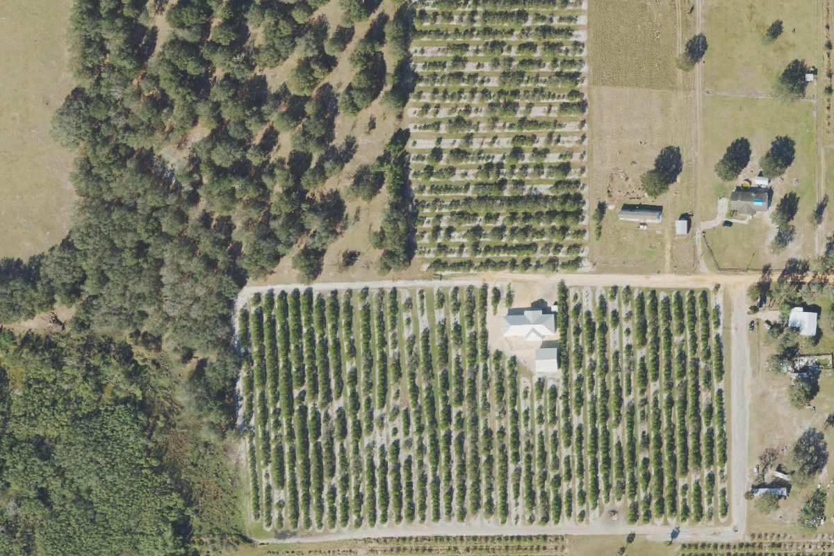 Aerial photo of Lake Wales Used Auto Parts at 4000 Whidden Cemetery Rd