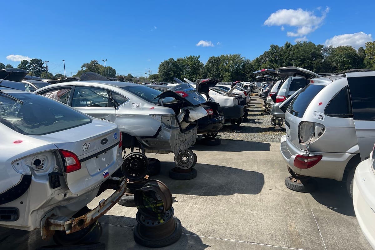 Pick Your Part - Durham: Rows of stripped and dismantled cars parked on a paved and gravel lot under a blue sky with trees in the background