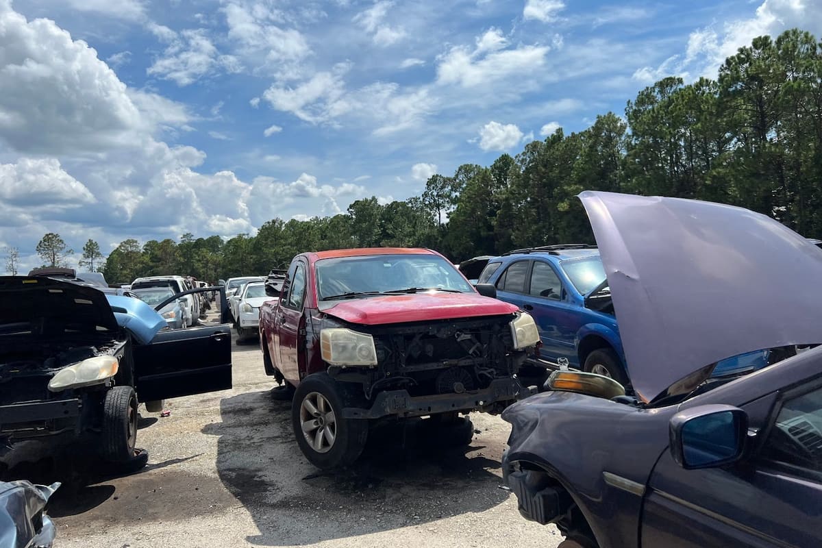 Pick Your Part - Daytona: Wrecked cars with open hoods parked on a gravel lot under a blue sky with trees in the background