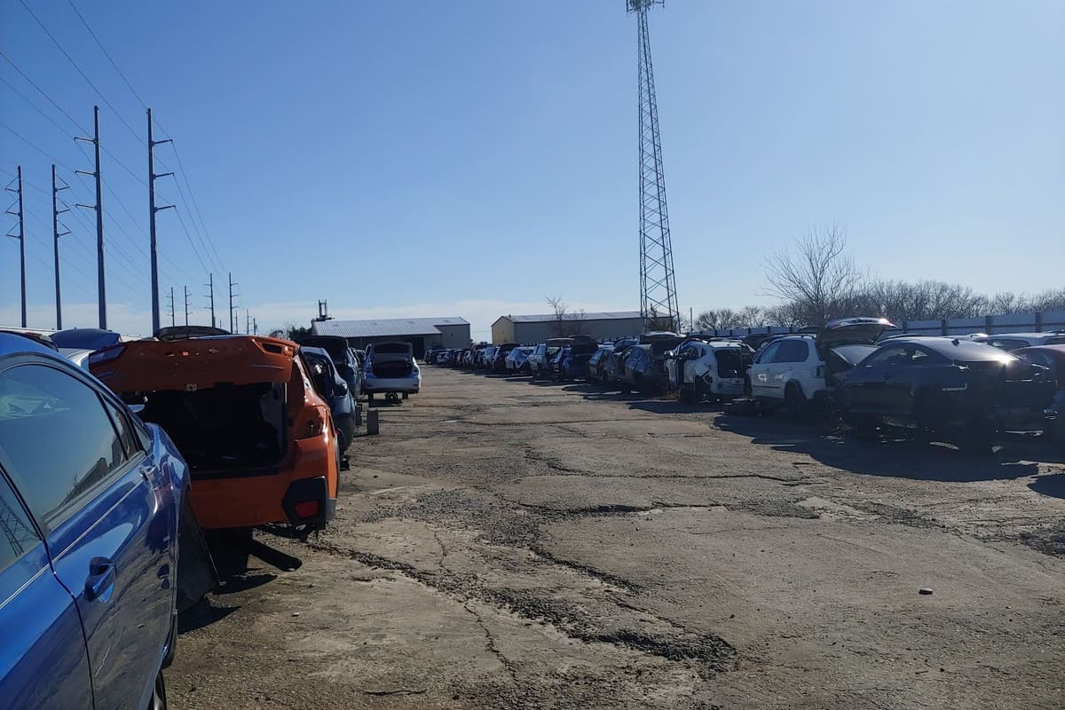 Nevada Import Parts & Auto: Long rows of salvage cars lined up along a cracked dirt lane under a clear blue sky, with a cell tower in the distance