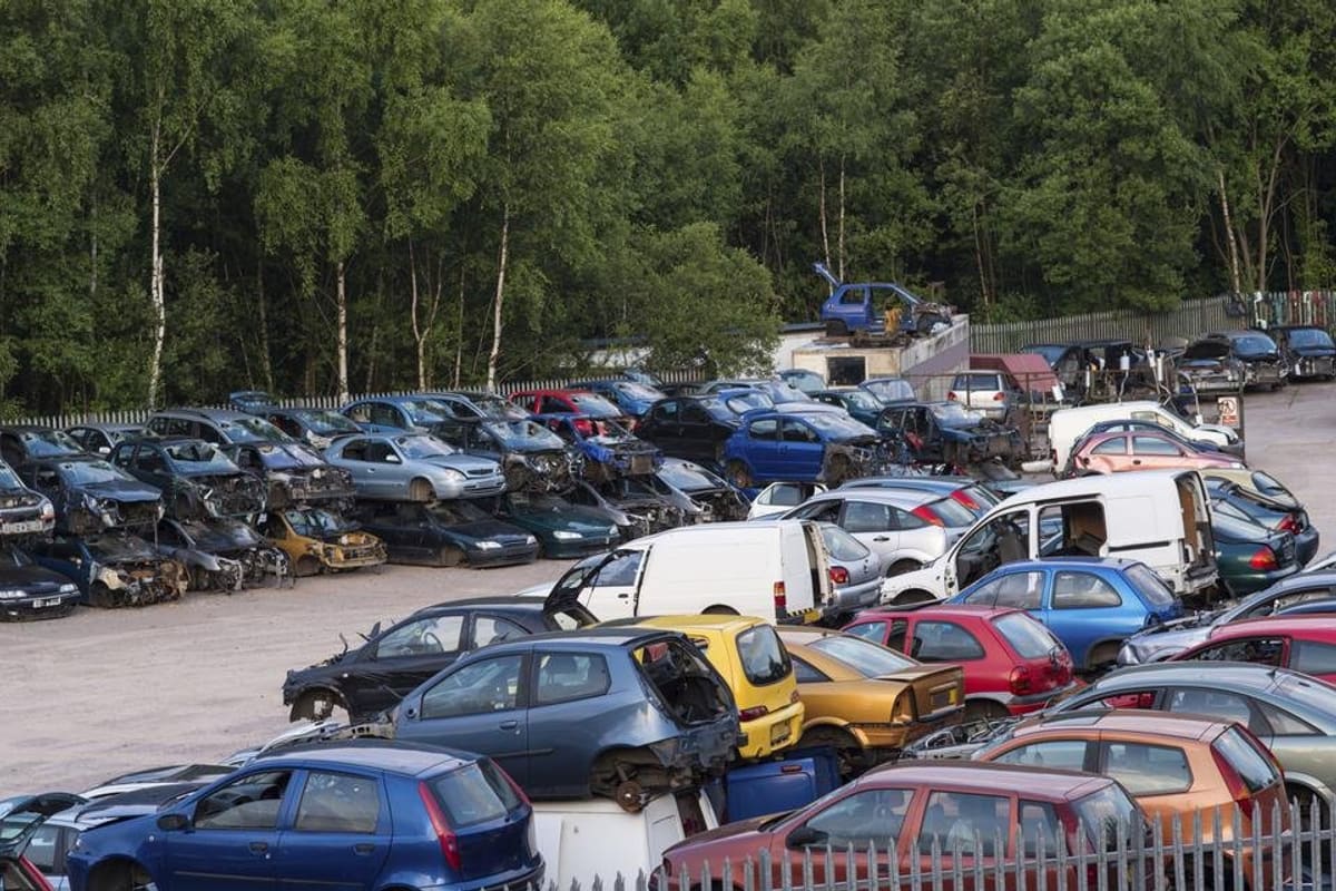 Larrys Auto Salvage: Rows of wrecked and used cars parked on a gravel lot beside a fence and tree line
