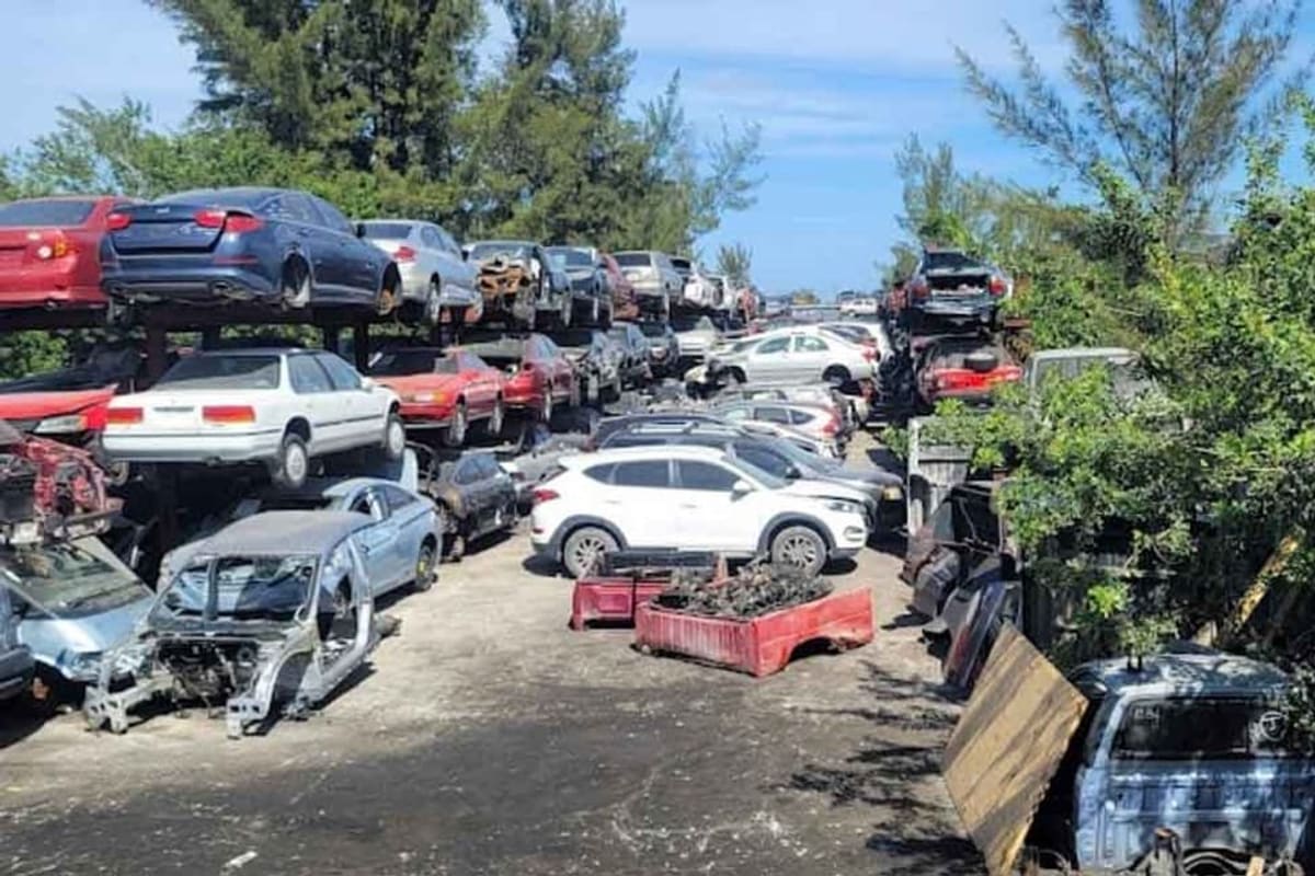 Aaaa Used Auto Parts: Wide daytime view of a salvage yard with rows of stacked wrecked cars along a dirt lane and trees on the right