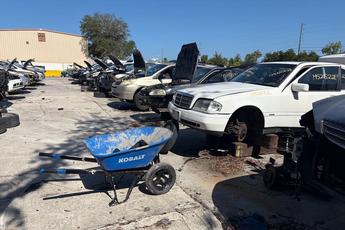 Pasco EZ-Pull it: Rows of salvage cars with open hoods on a paved lot in daylight, with a tan metal warehouse building in the background