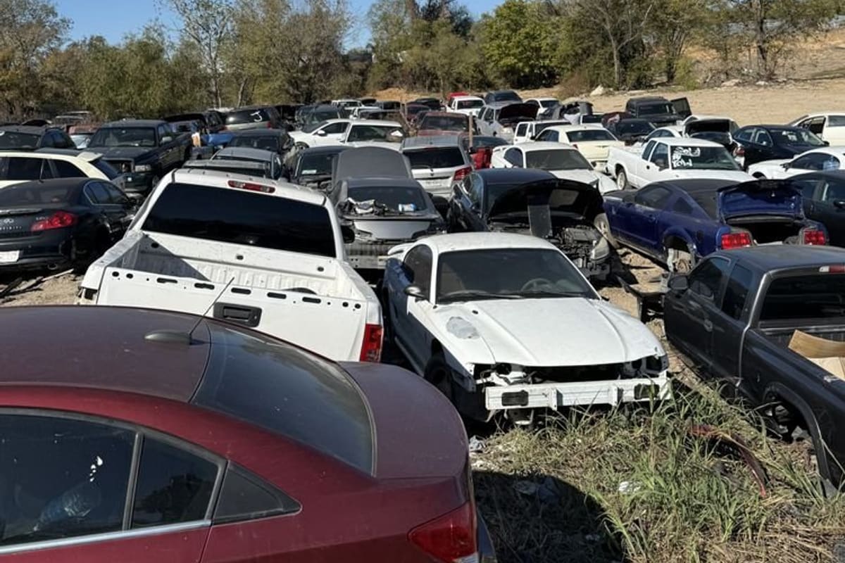 Star Auto Salvage: Wide daytime view of a salvage yard packed with rows of wrecked cars and pickup trucks under a clear blue sky