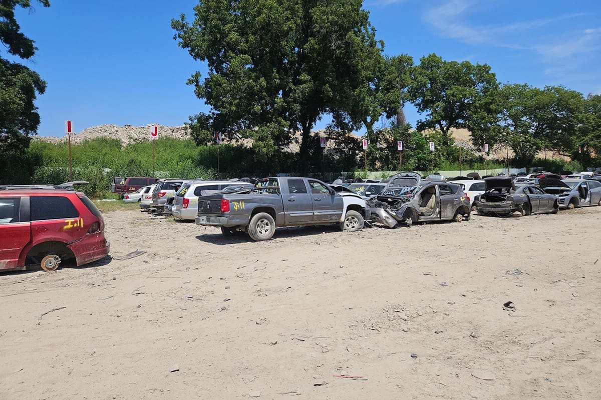 AAA Crains Auto Salvage: Wide daytime view of a dirt salvage yard with rows of wrecked cars and pickup trucks beneath trees and blue sky