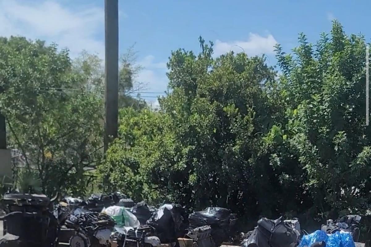 A & a Auto and Truck: Outdoor lot with engines on wooden pallets, some covered in black and blue tarps, in front of tall green trees