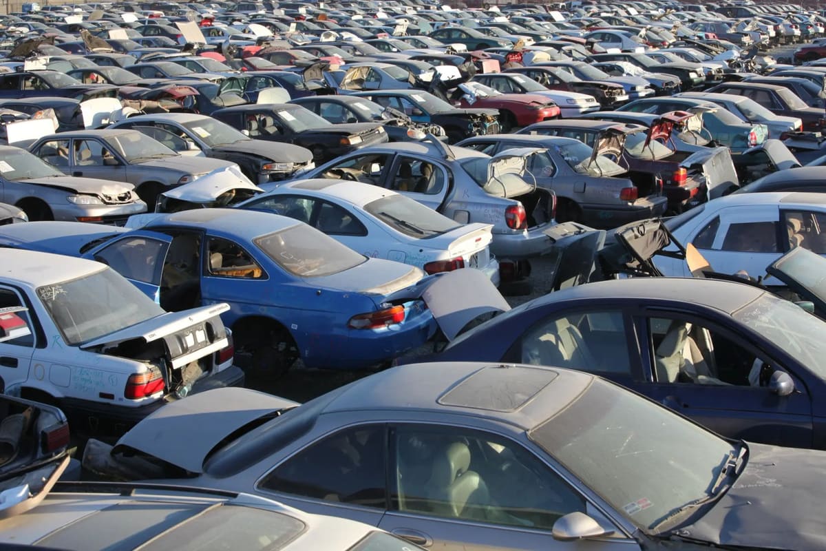 Radius Recycling: Rows of salvage cars with open hoods and trunks packed closely together in a large auto yard