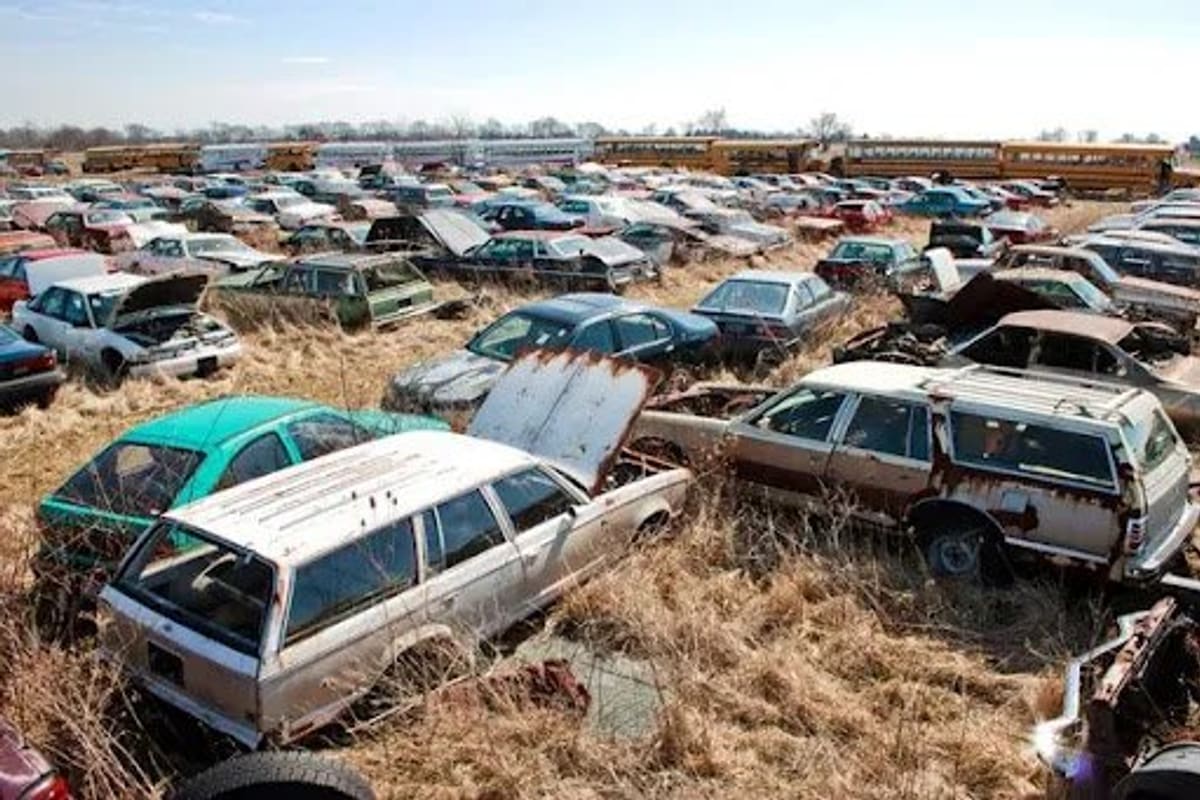 Fosters Auto Crushing: Wide view of a field packed with old wrecked cars and station wagons, with school buses lined up along the horizon