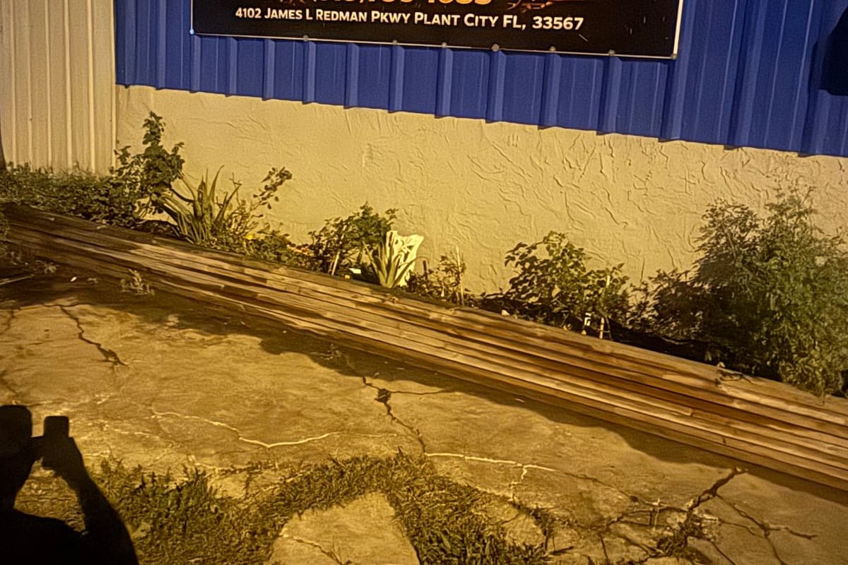 Aztecas Auto Salvage: Large black sign with phone number and address on a blue metal building wall at night, with plants and cracked pavement below