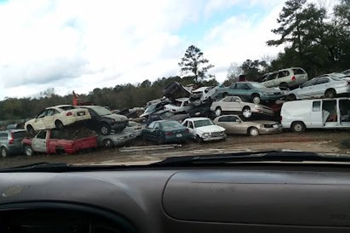 Tallahassee Salvage: Stacked and parked salvage cars and vans piled on a dirt lot with trees behind, seen through a windshield