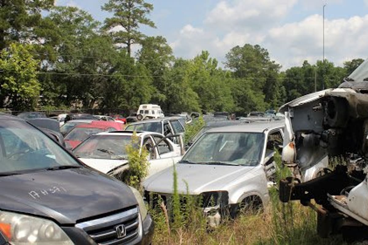 Wilmington Auto Salvage - North College Rd: Rows of wrecked cars and trucks parked in a grassy salvage yard under a partly cloudy sky with trees behind