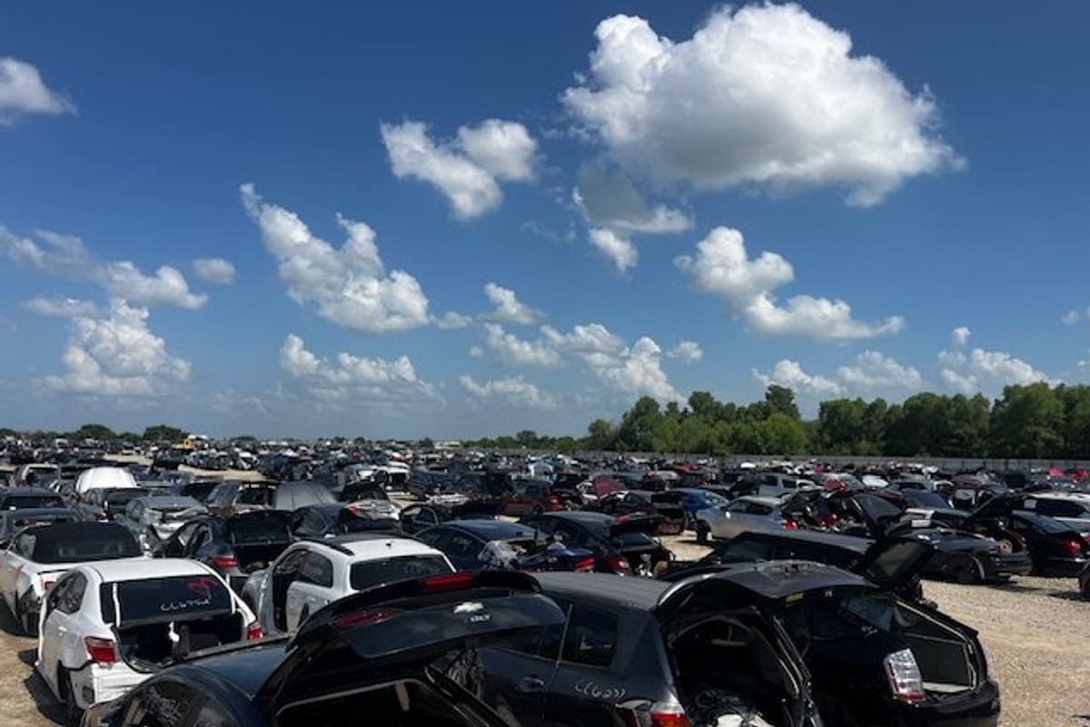 Chris Auto Salvage & Recyclers: Wide view of a large salvage yard packed with rows of wrecked cars under a blue sky with clouds