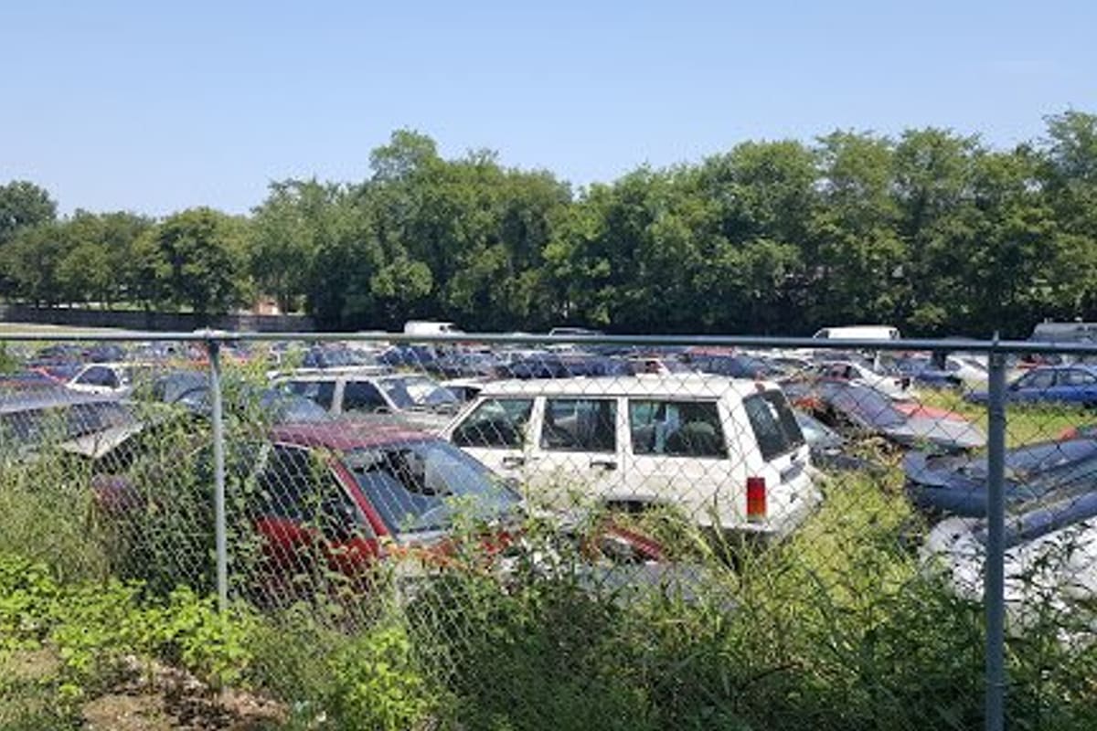 All State Auto Salvage: Rows of salvage cars parked in a grassy lot behind a chain-link fence with trees in the background