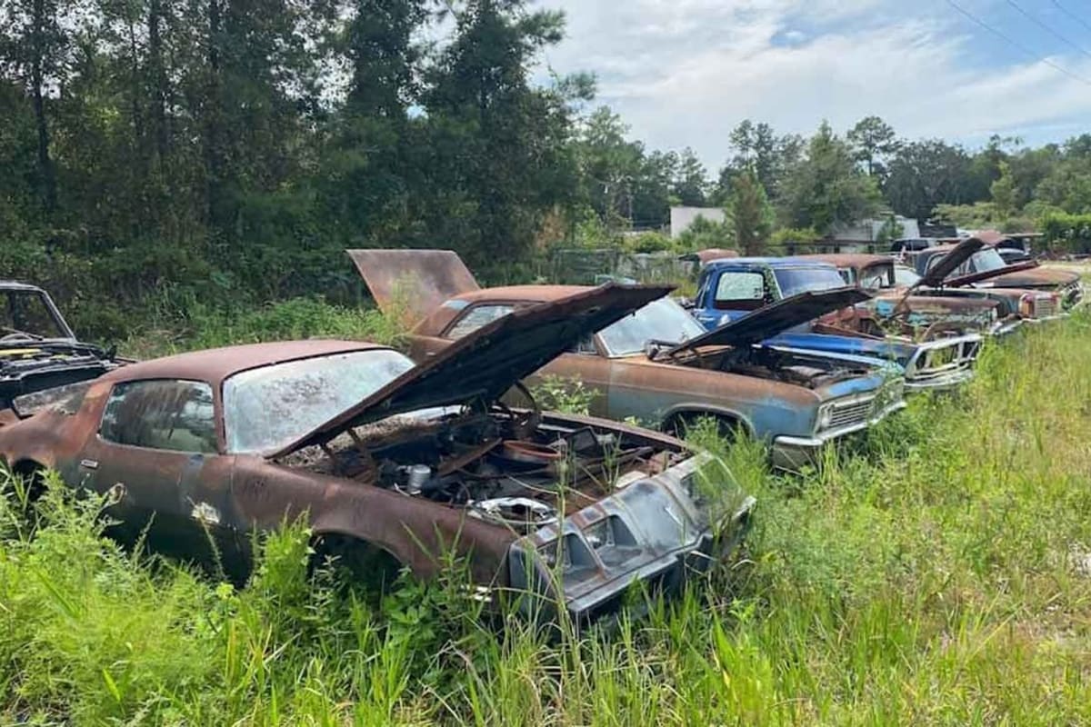 Sapp Salvage: Rows of rusty vintage cars with open hoods parked in tall grass beside trees at a salvage yard