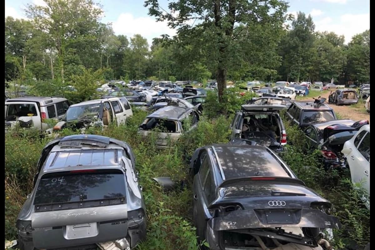 A & AM Auto Sales & Salvage: Wide view of a salvage yard with many wrecked cars parked among overgrown weeds and trees