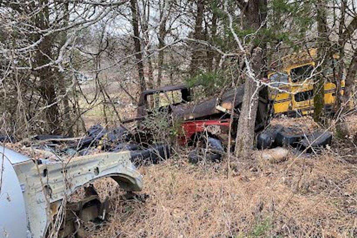 Davis Auto Parts: Overgrown salvage area with rusted wrecked vehicles, tires and a yellow school bus among bare trees