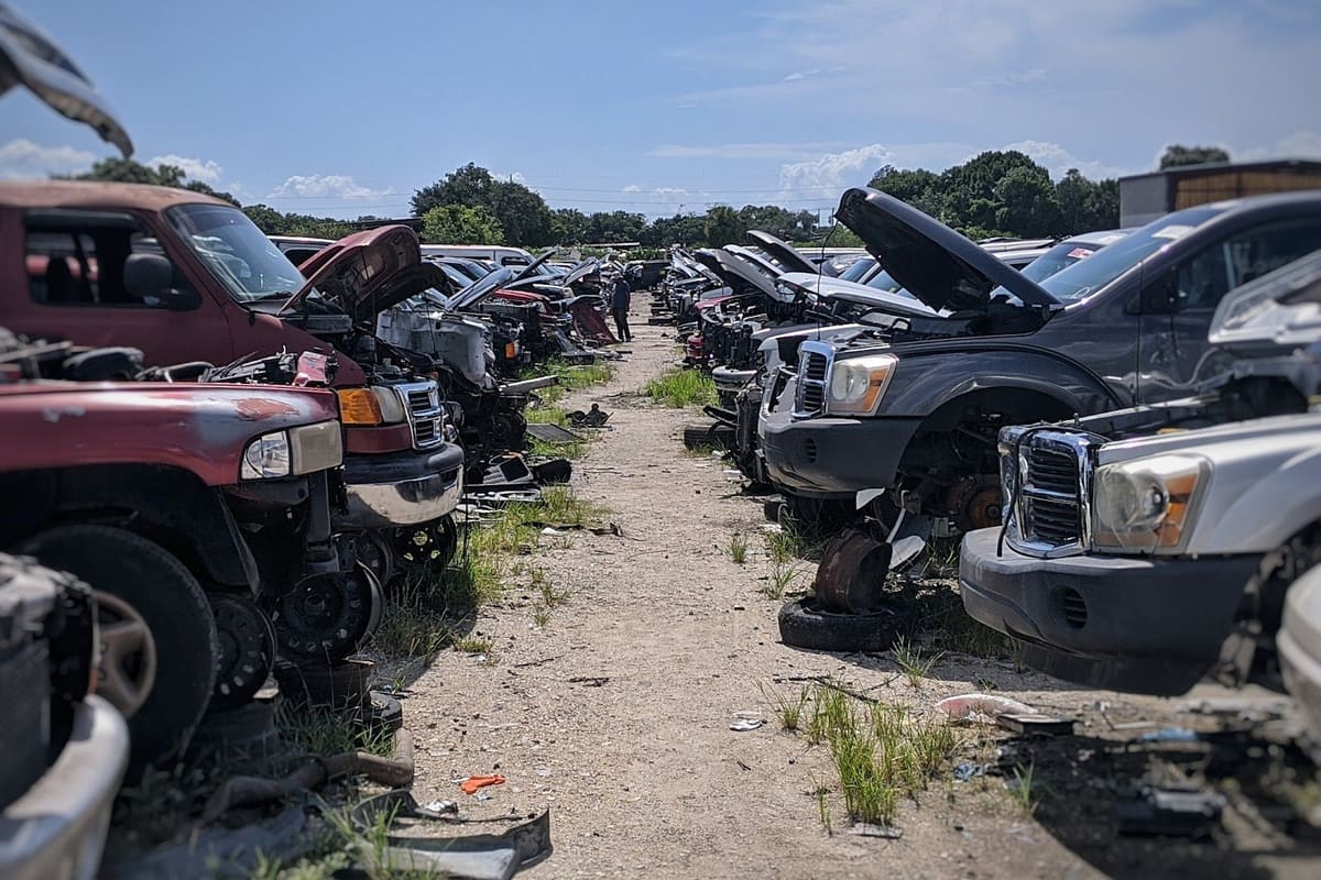 Pick Your Part - Tampa: Dirt aisle between rows of salvage trucks and cars with open hoods under a blue sky