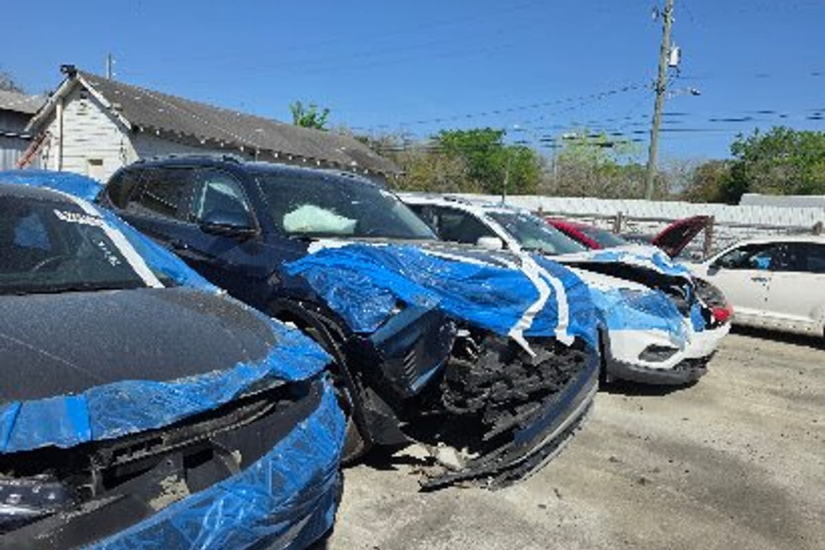 Jax 4 Parts: Wrecked cars covered in blue plastic wrap parked on a gravel lot under a clear blue sky