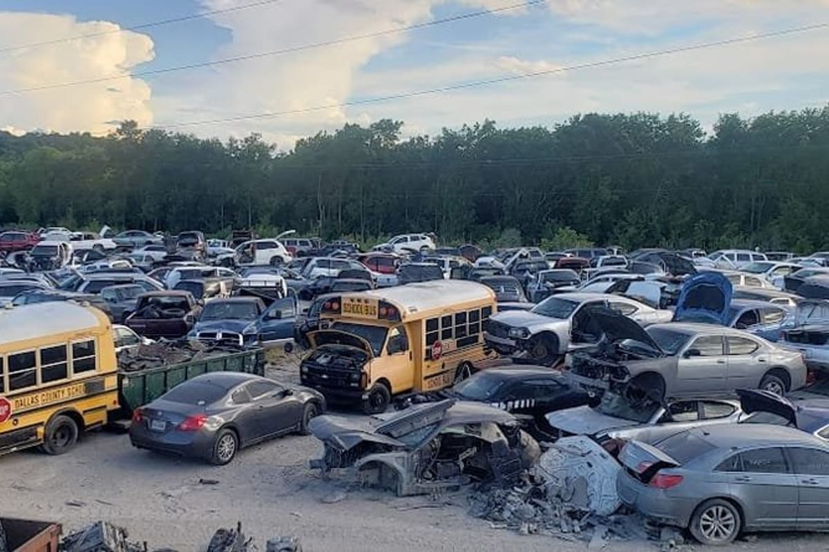Twin Lakes Auto Salvage: Wide daytime view of a salvage yard packed with wrecked cars and yellow school buses in rows beside a tree line