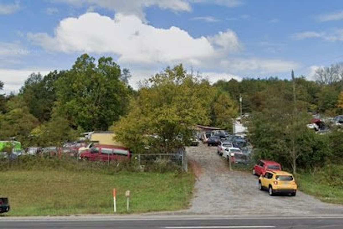 Holston Valley Auto Salvage: Gravel entrance drive beside a road leading to a salvage yard with many vehicles parked among trees