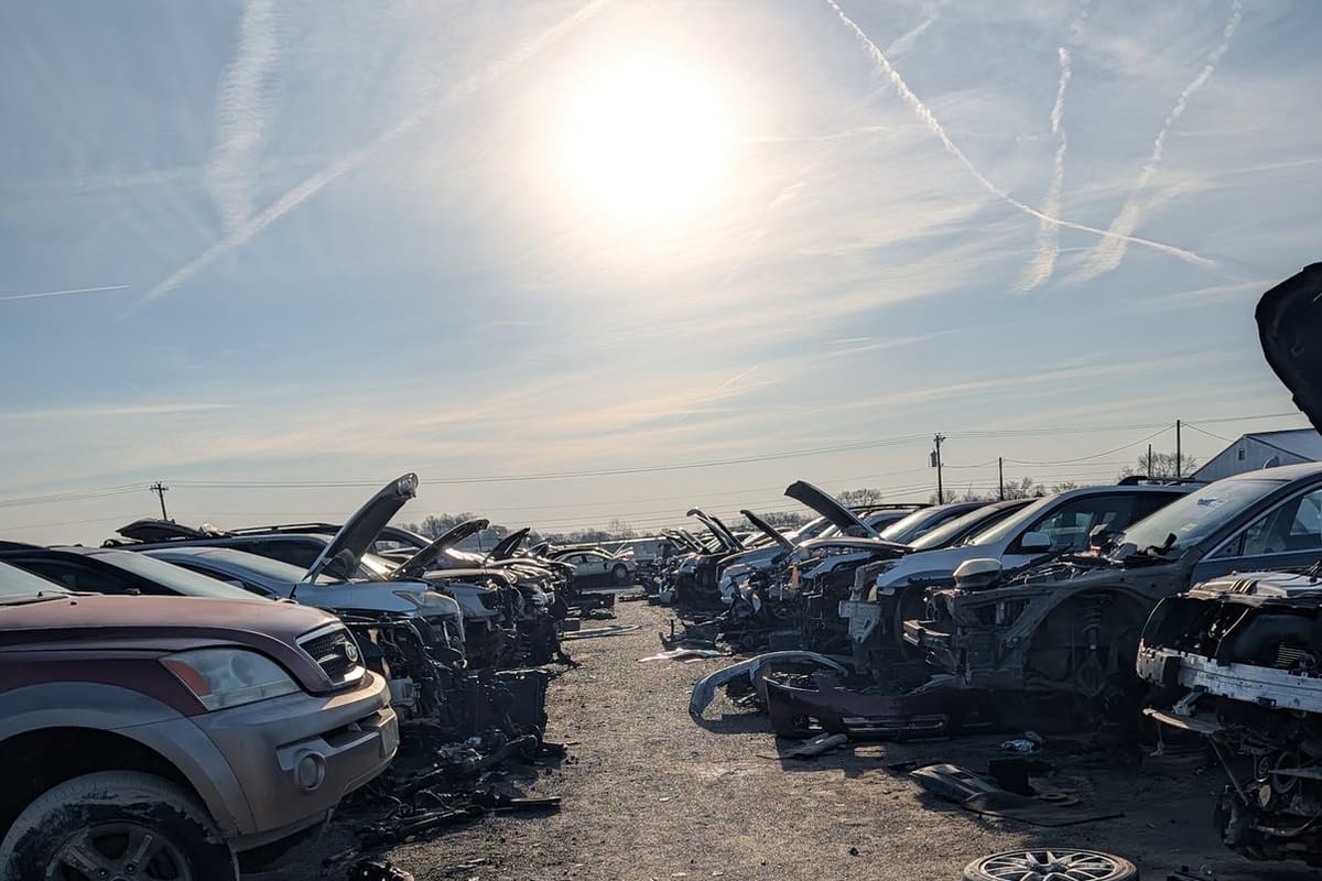 Express Auto Recyclers and Sales: Wide view of a dirt lane between rows of salvage cars with open hoods under a bright sky
