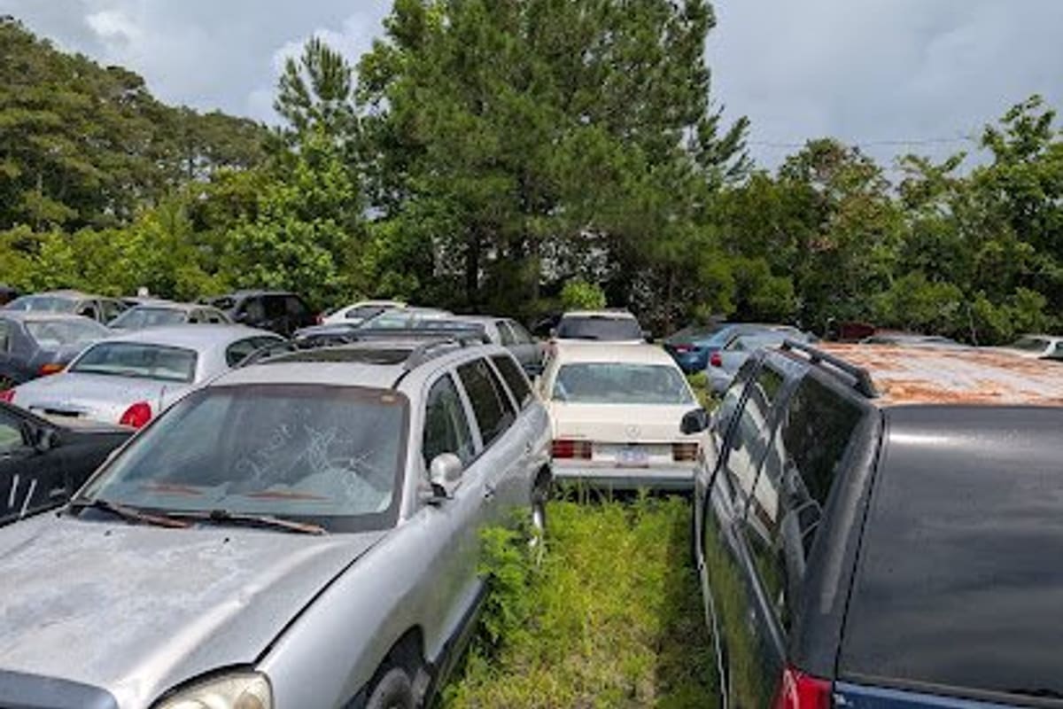 Atlantic Auto Parts & Salvage: Rows of old cars parked closely together on a grassy lot with tall trees behind under a cloudy sky