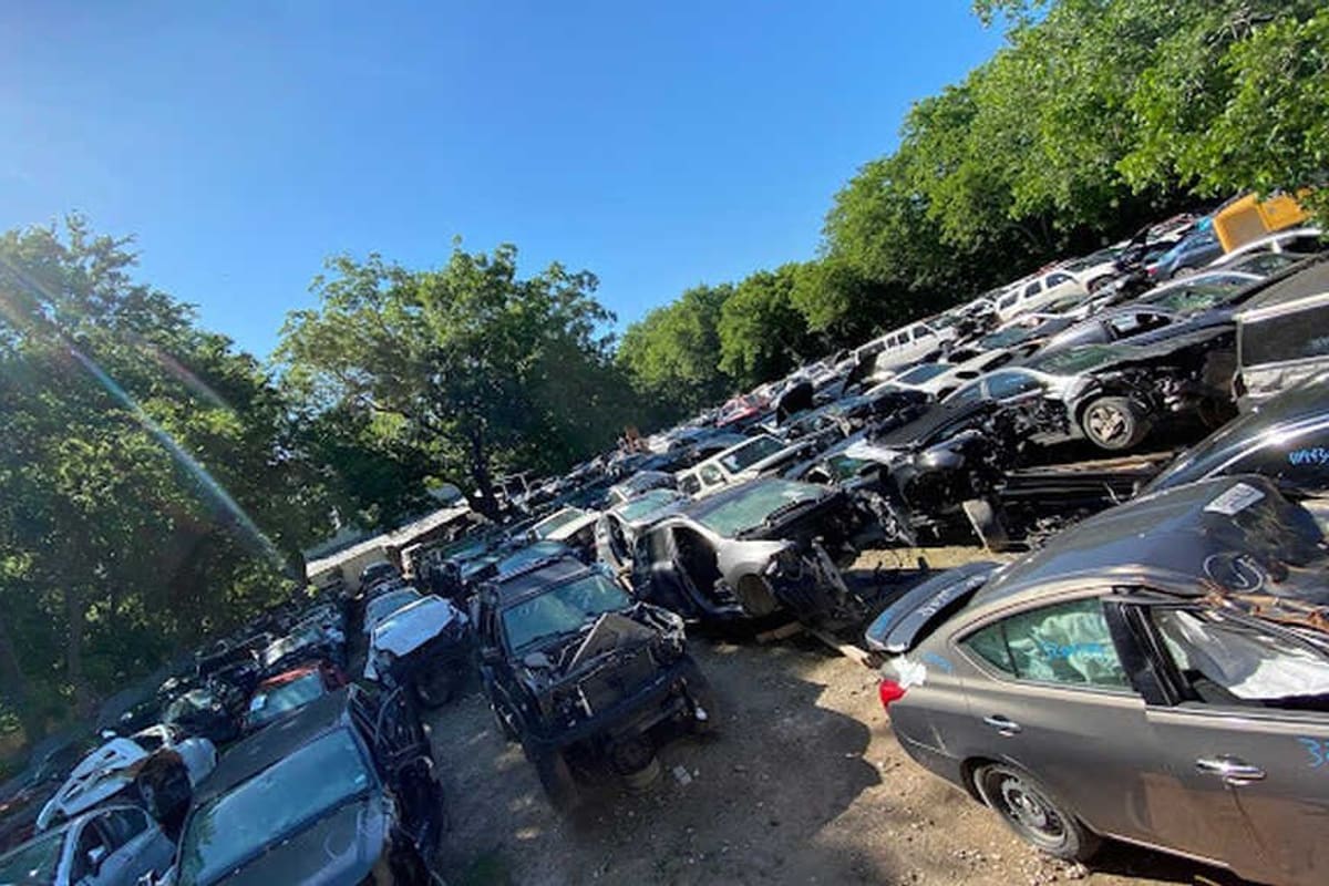 Austin Pick a Part & Auto Salvage: Wide daytime view of a salvage yard with rows of wrecked cars parked on dirt under tall green trees